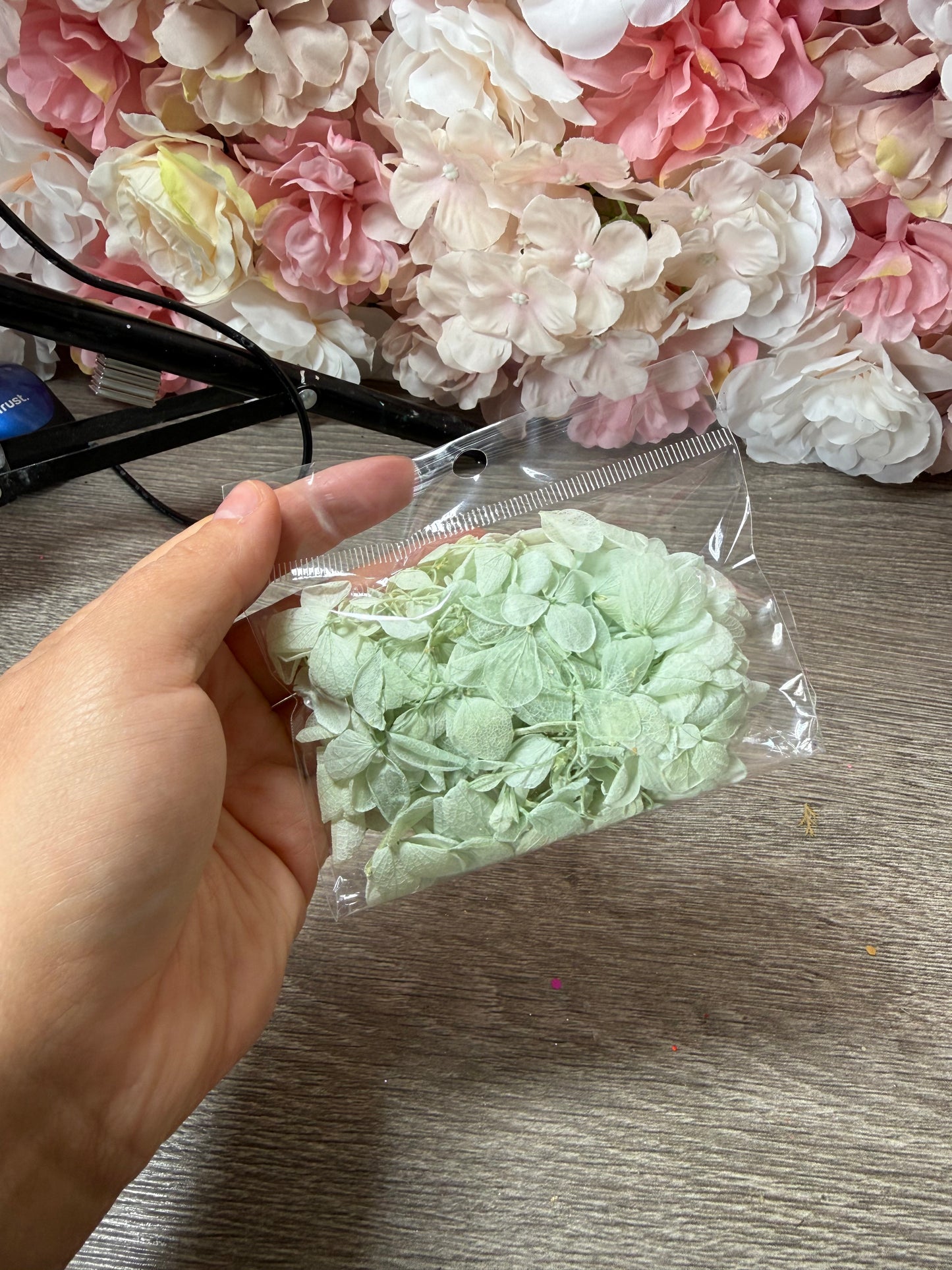 Mintgrüne Hortensienblüten – Trockenblumen im Beutel