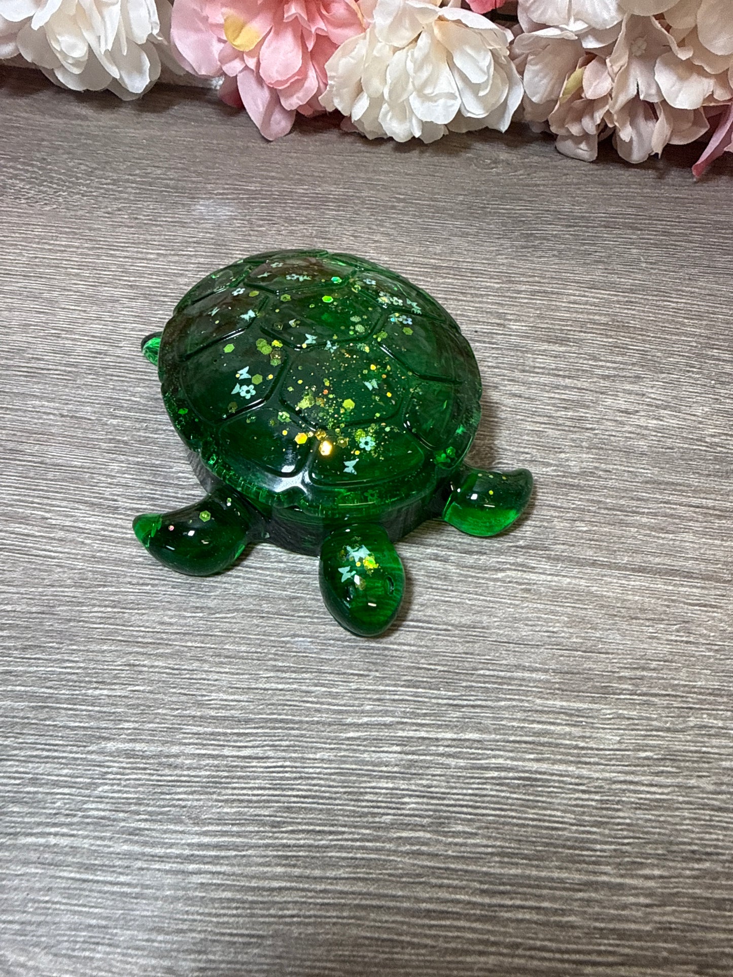 Dose Schildkröte