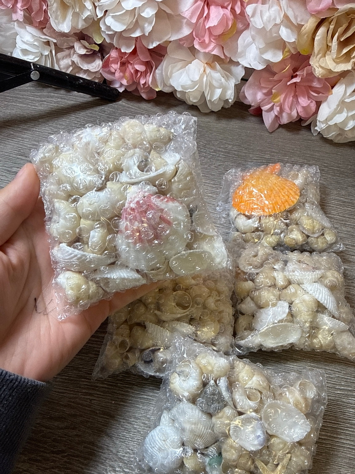 Muschel Mix – echte Muscheln & Schneckenhäuser – Stückpreis