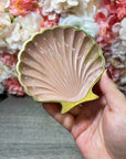 Schale "Muschel" in verschiedenen Designs
