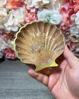 Schale "Muschel" in verschiedenen Designs