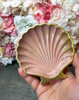 Muschelschale in verschiedenen Designs