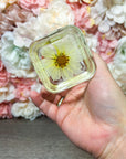 Kleine Schale "eckig" in verschiedenen Designs