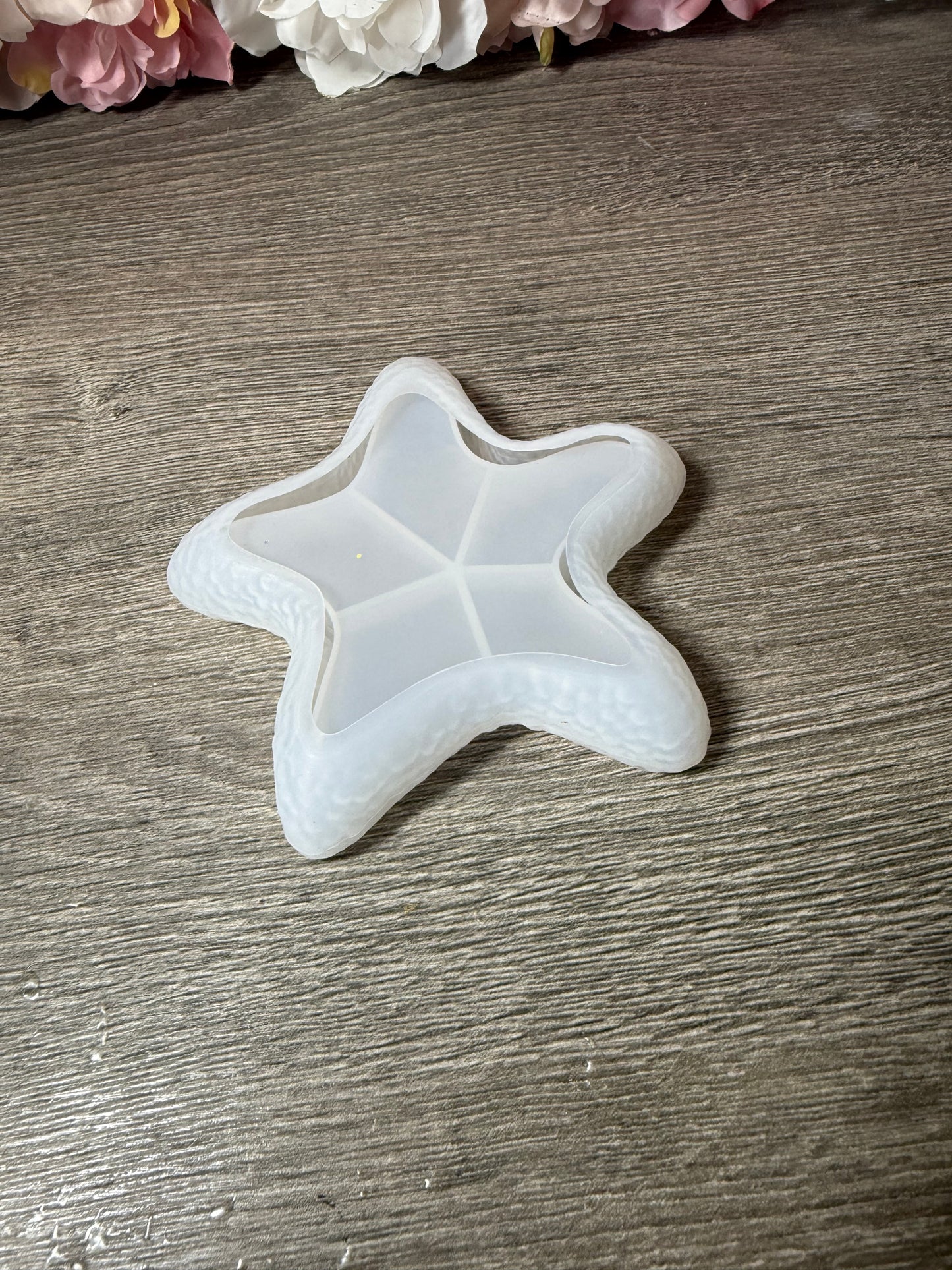 Seestern Schale Silikonform – neu und unbenutzt