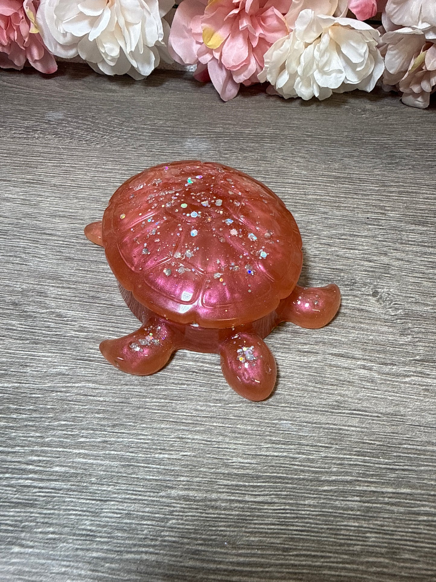 Dose Schildkröte