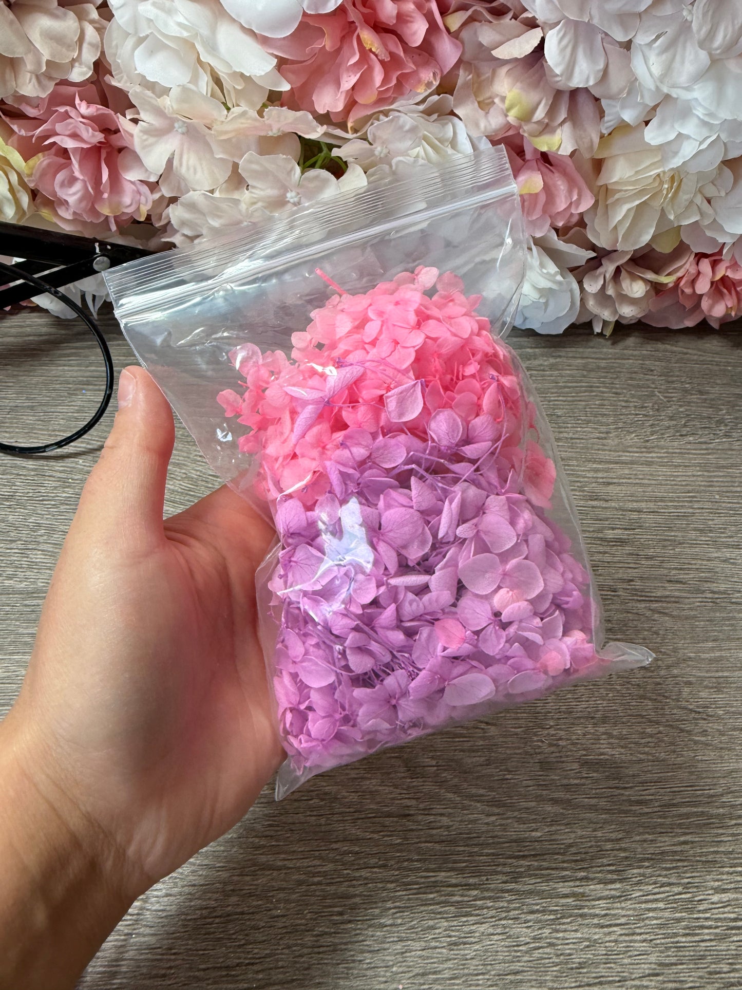 Echte konservierte Hortensienblüten in Rosa & Flieder