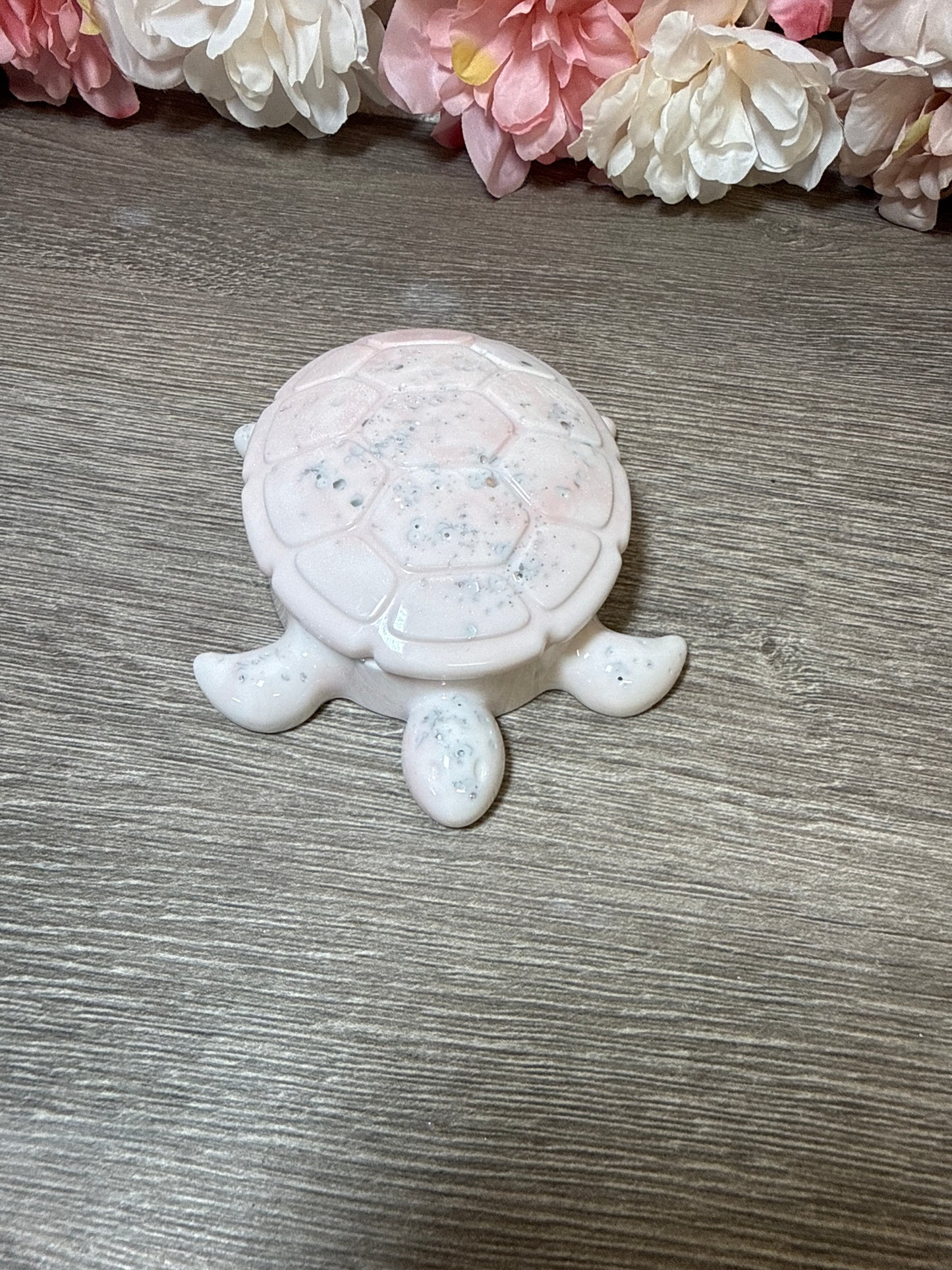 Dose Schildkröte