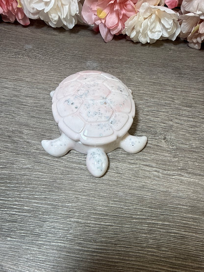 Dose Schildkröte