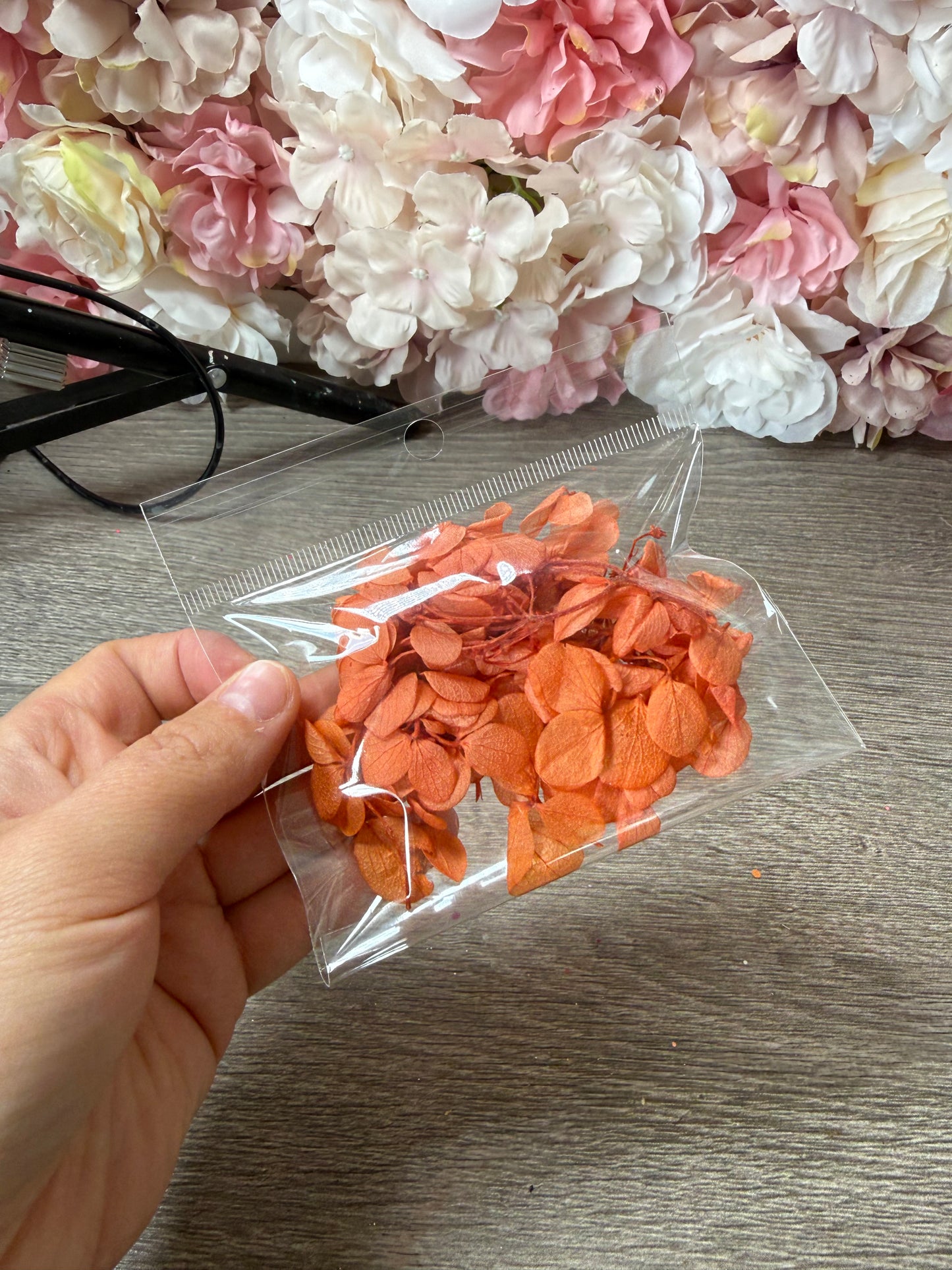 Orange Hortensienblüten – Trockenblumen im Beutel