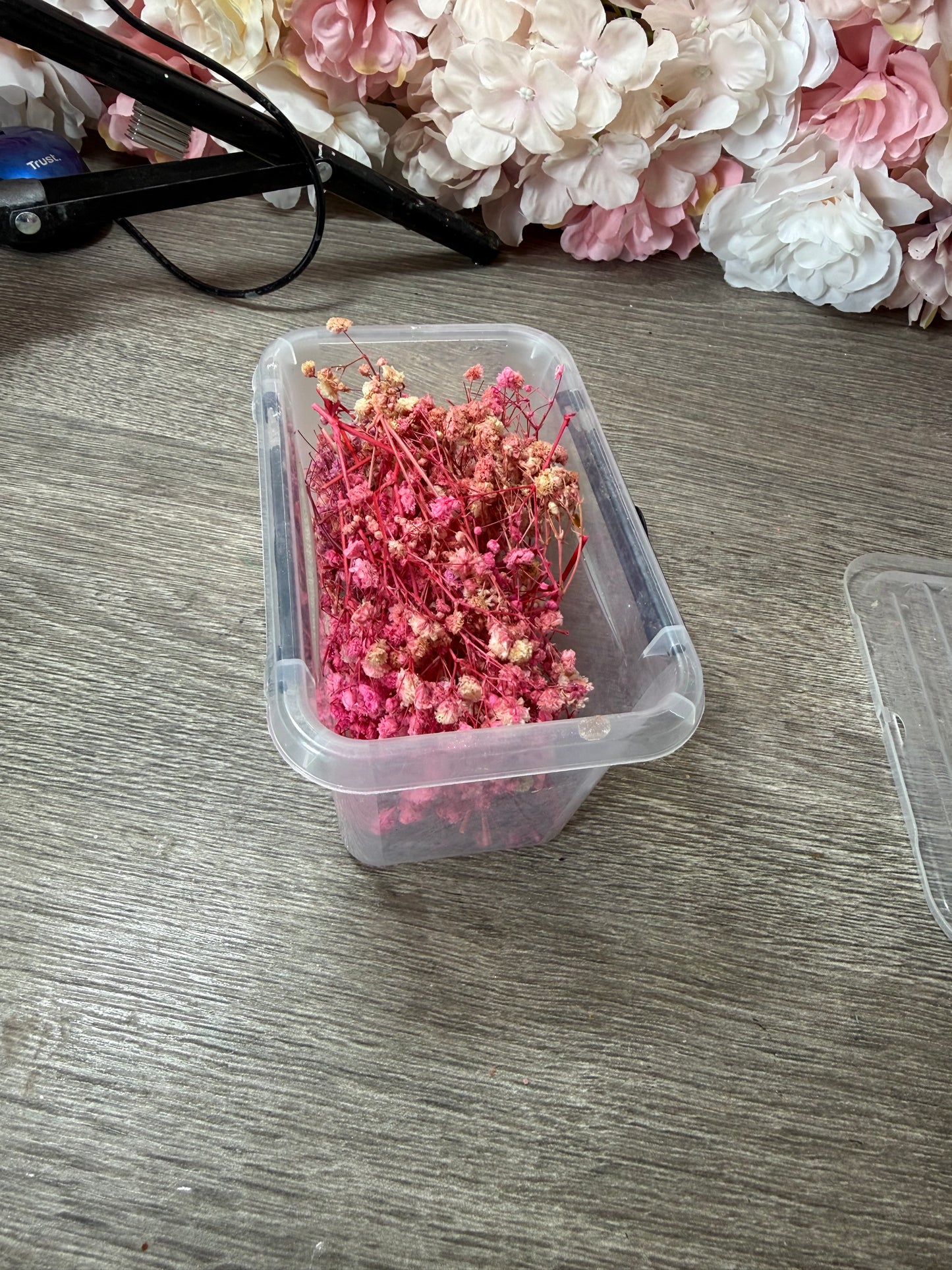 Schleierkraut Rosa in Aufbewahrungsdose – gut gefüllt – Resin Deko
