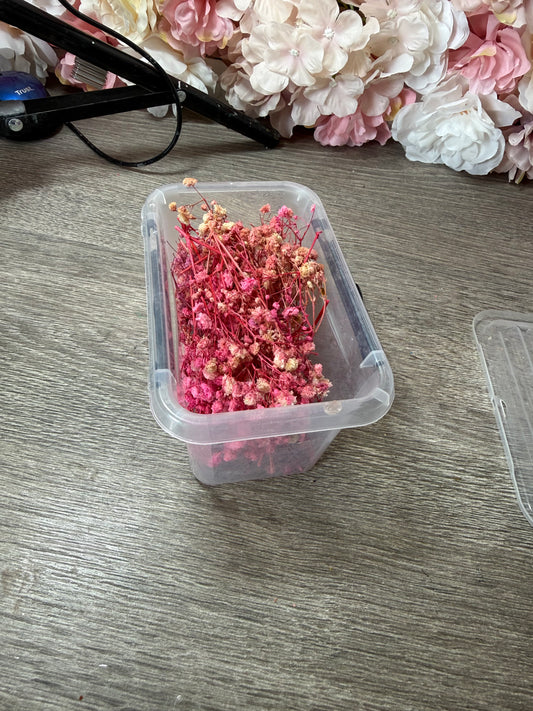 Schleierkraut Rosa in Aufbewahrungsdose – gut gefüllt – Resin Deko
