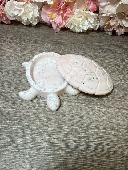 Dose Schildkröte
