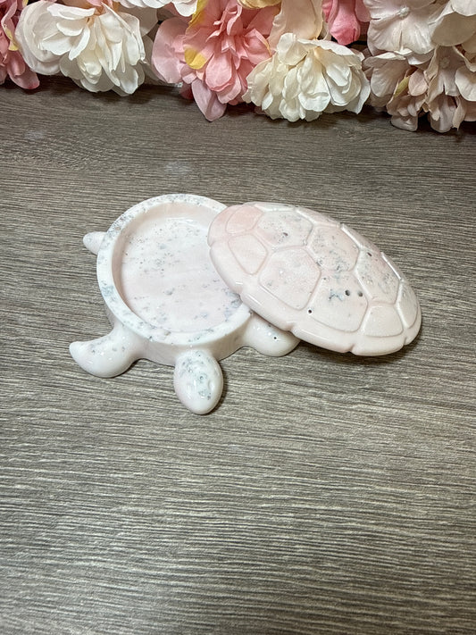 Dose Schildkröte