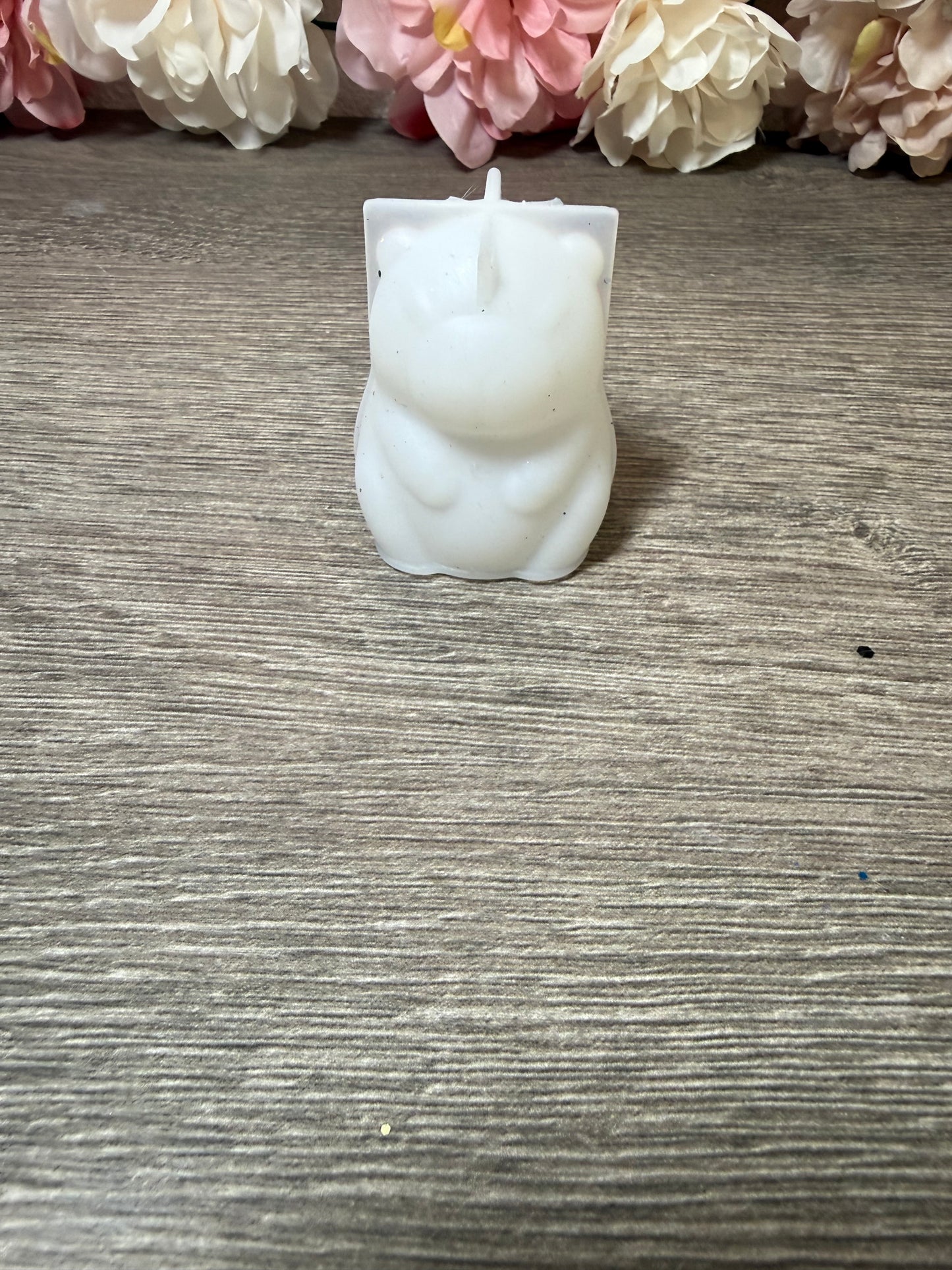 Silikonform Capybara – gebraucht