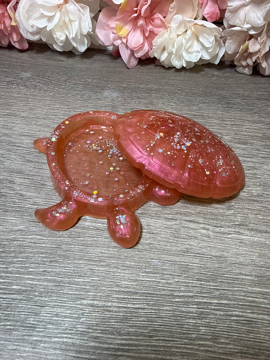 Dose Schildkröte