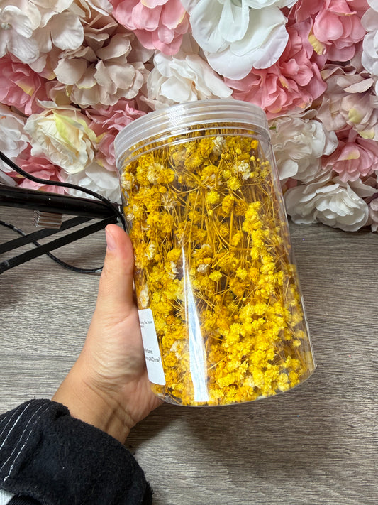 Große Dose Schleierkraut Gelb – prall gefüllt – Resin Deko