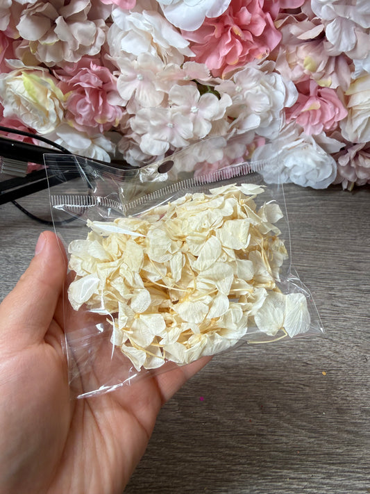 Getrocknete Hortensien in Creme – Resin Zubehör