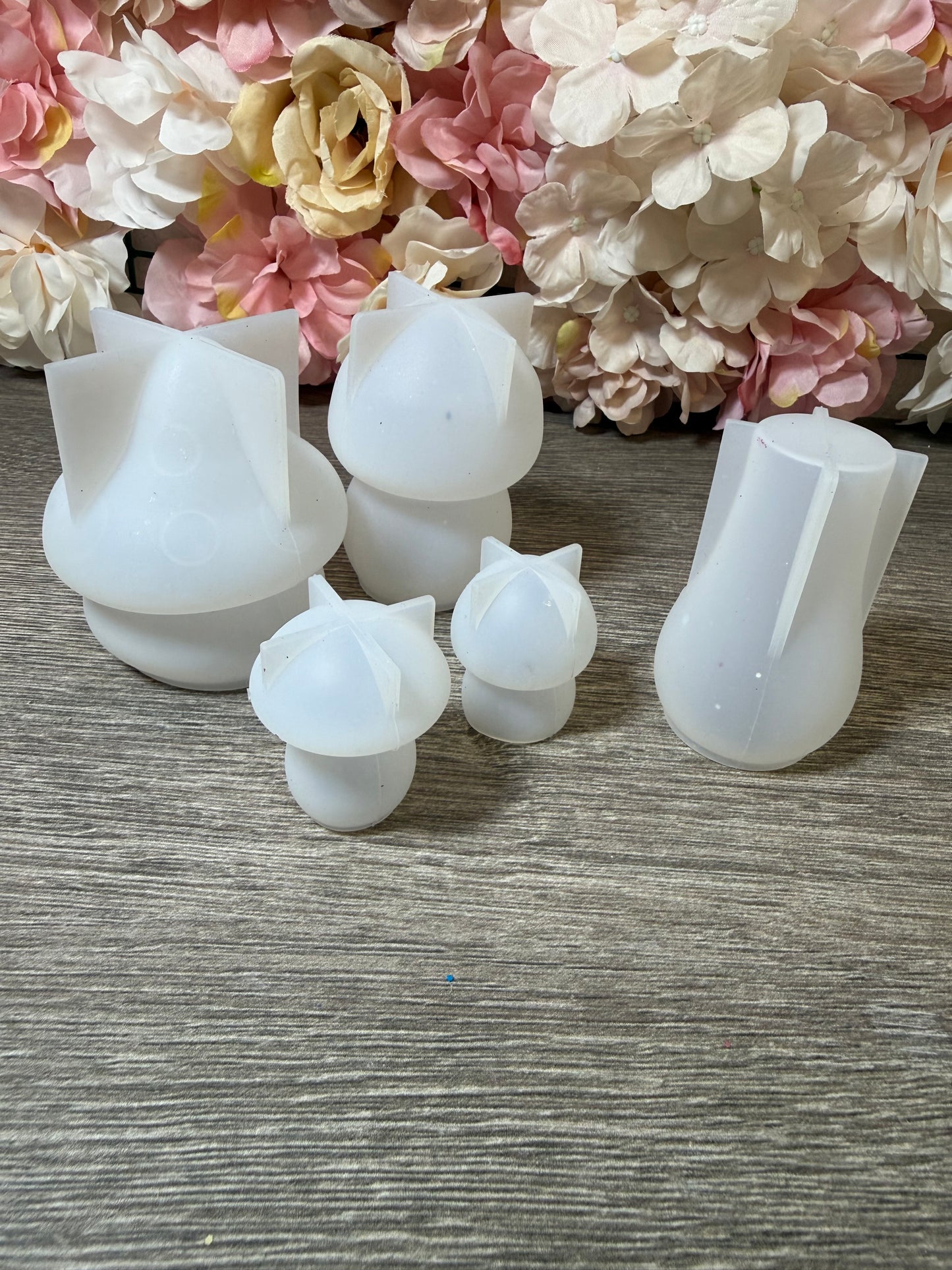 Silikonformen Pilze Set – 1x benutzt / neuwertig