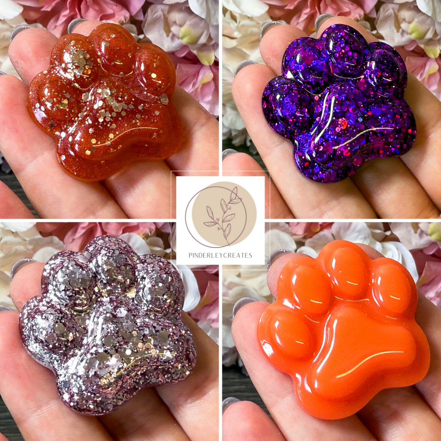 Magnet Pfote in verschiedenen Designs