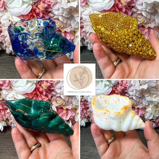 Schale Muschel in verschiedenen Designs