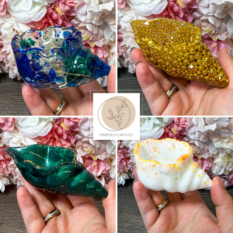 Schale Muschel in verschiedenen Designs