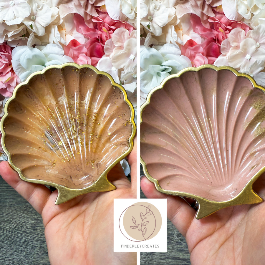 Muschelschale in verschiedenen Designs