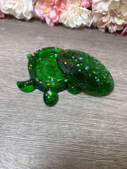 Dose Schildkröte