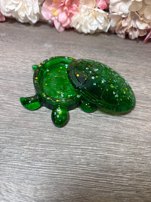Dose Schildkröte