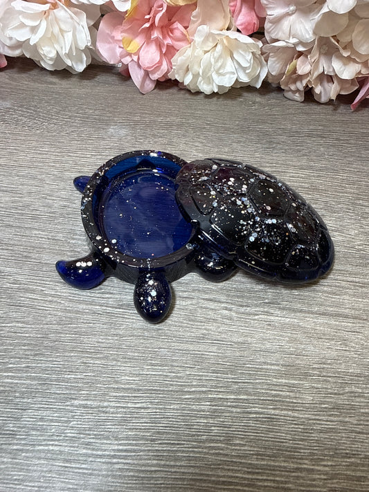 Dose Schildkröte
