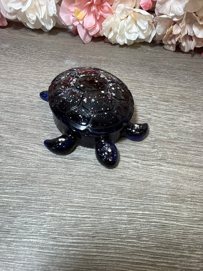 Dose Schildkröte