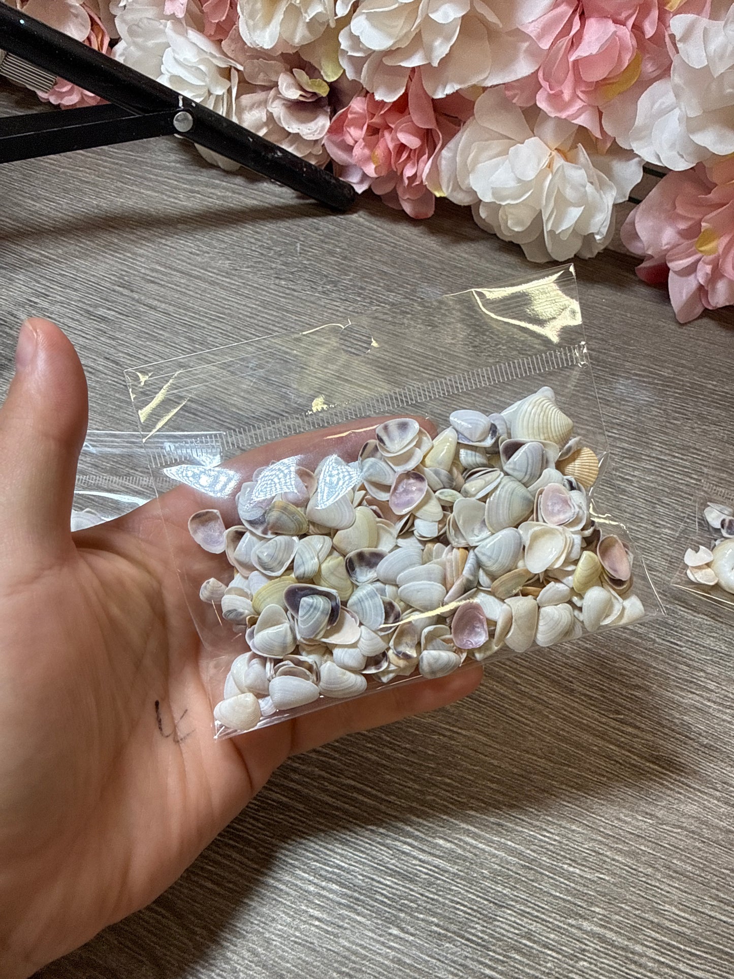 Mini Muscheln natur – Resin Art & Deko – Tüte