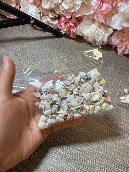 Mini Muscheln natur – Resin Art & Deko – Tüte