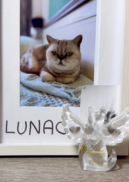 Erinnerungsfigur Katze mit Flügeln – personalisiertes Tierandenken aus Resin mit Tierfell möglich