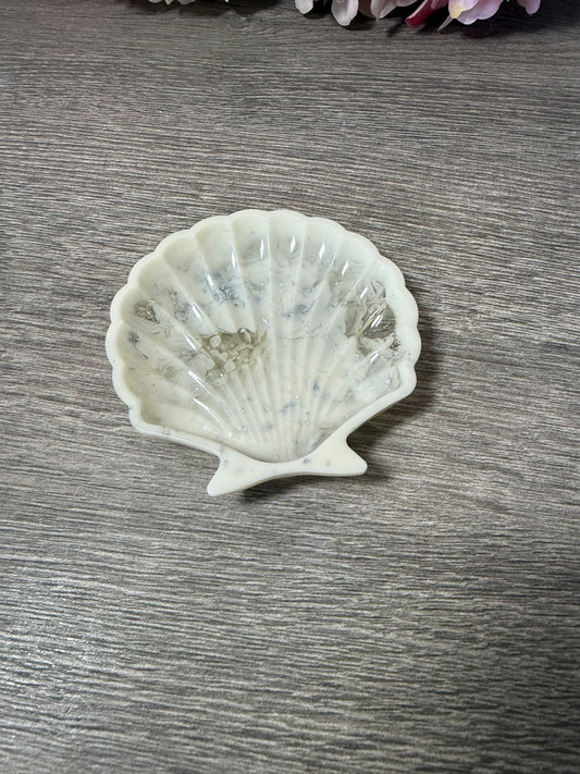 Muschelschale
