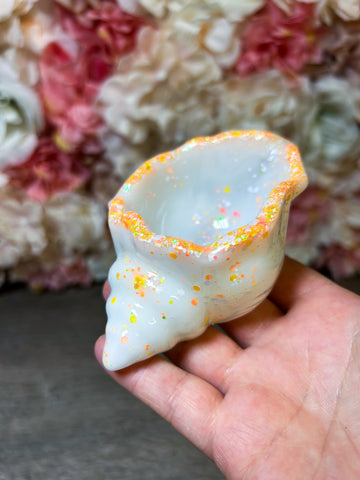 kleine Muschelschale