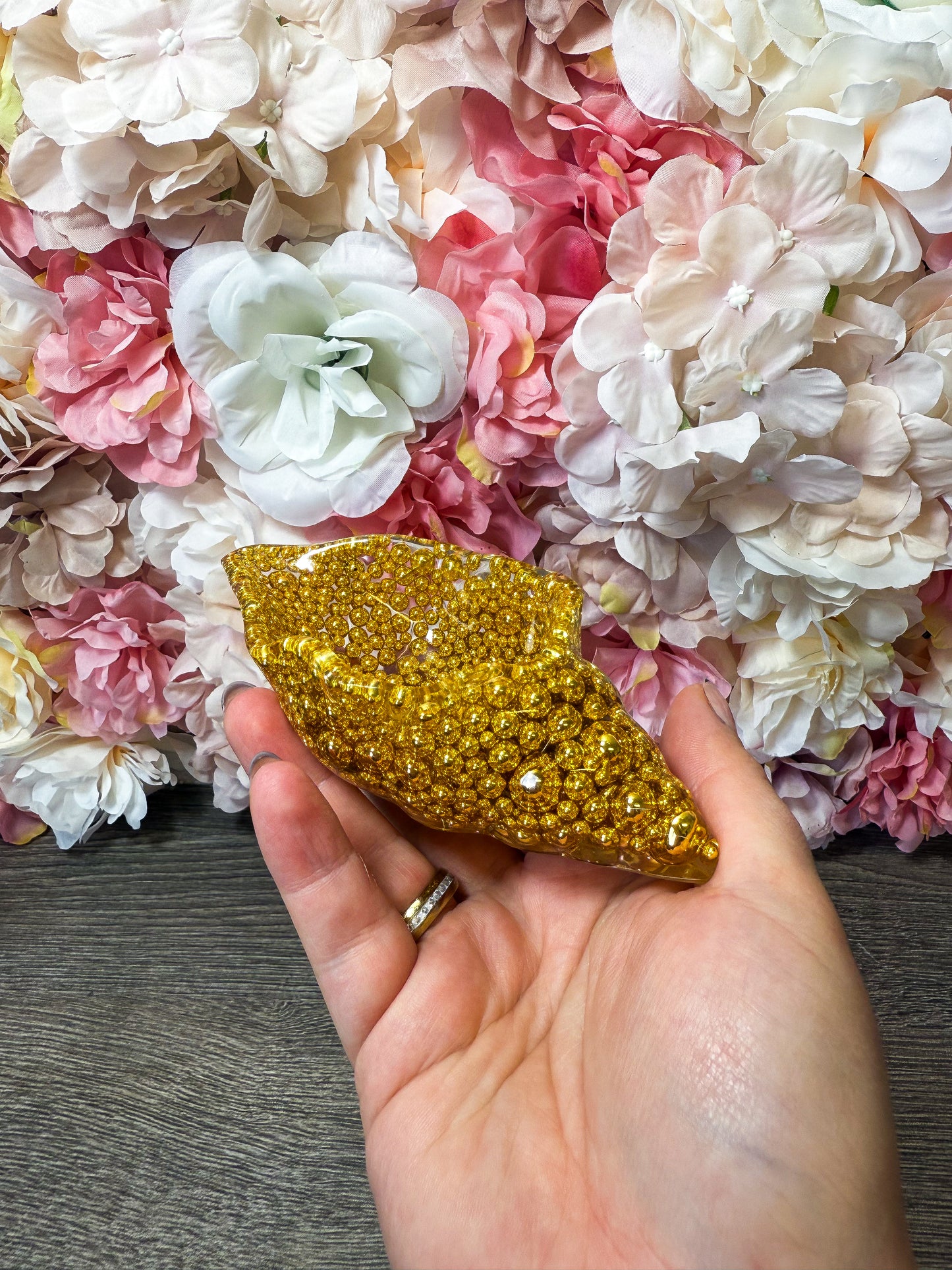 Schale Muschel in verschiedenen Designs