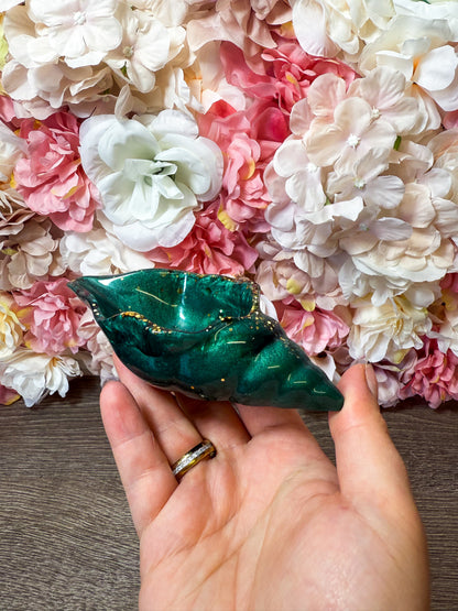 Schale Muschel in verschiedenen Designs