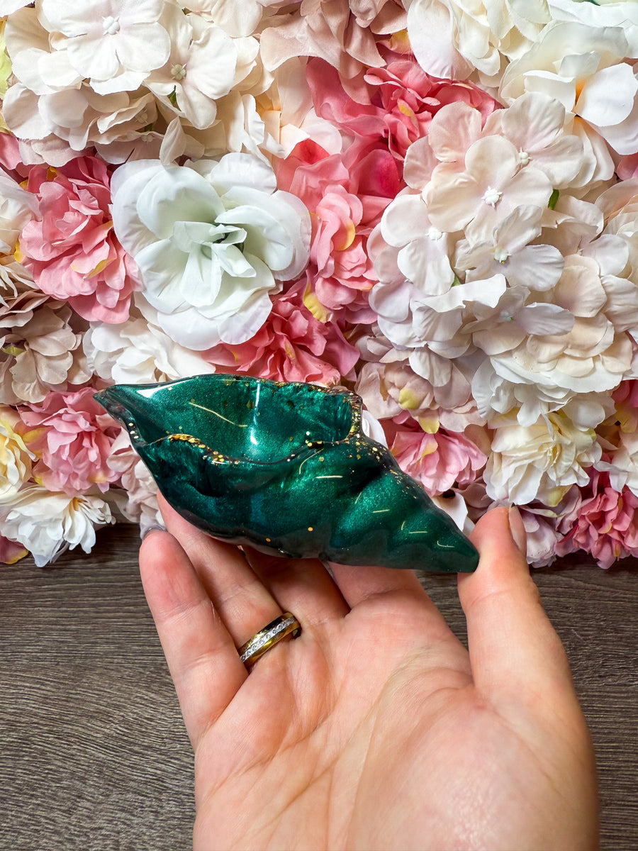 Schale Muschel in verschiedenen Designs