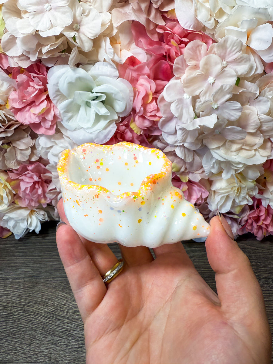 Schale Muschel in verschiedenen Designs