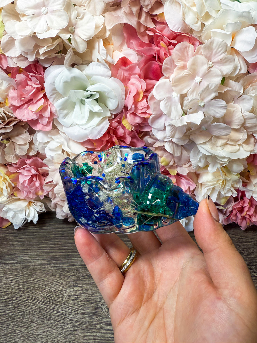 Schale Muschel in verschiedenen Designs