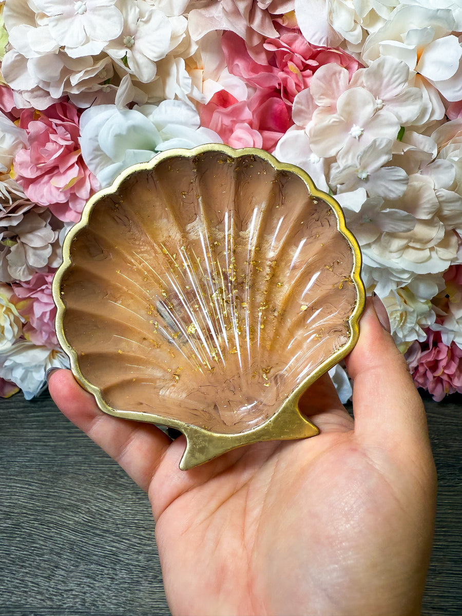 Muschelschale in verschiedenen Designs