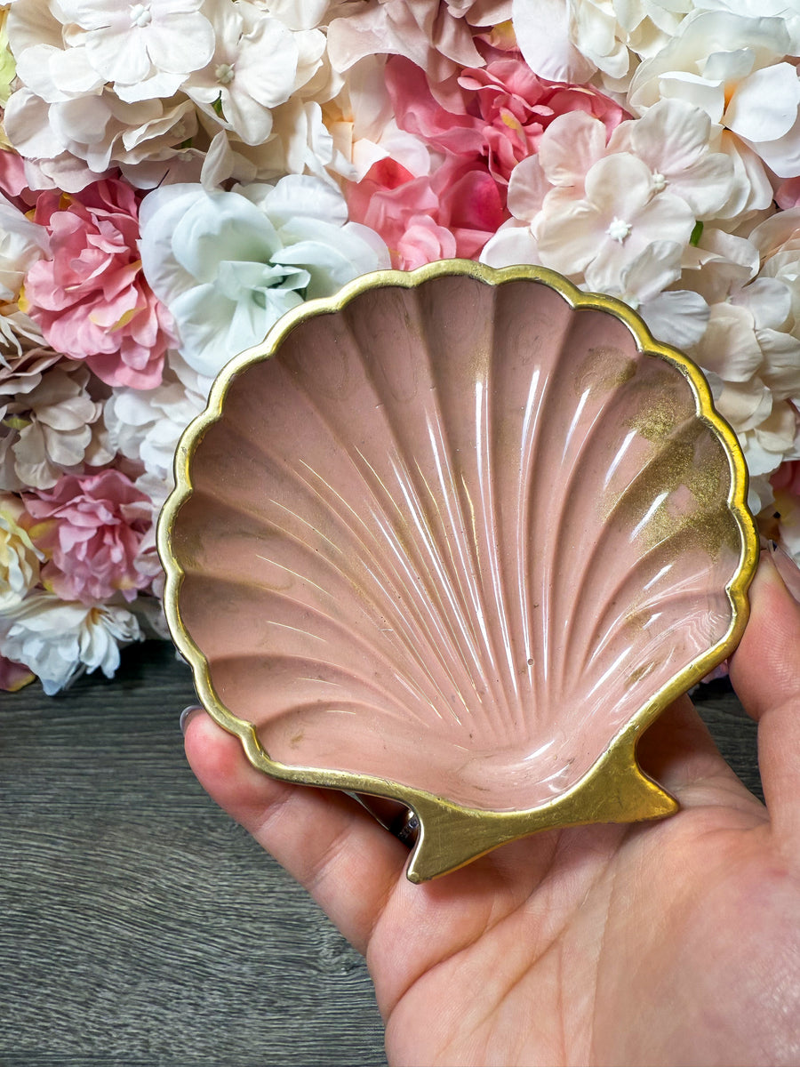 Muschelschale in verschiedenen Designs