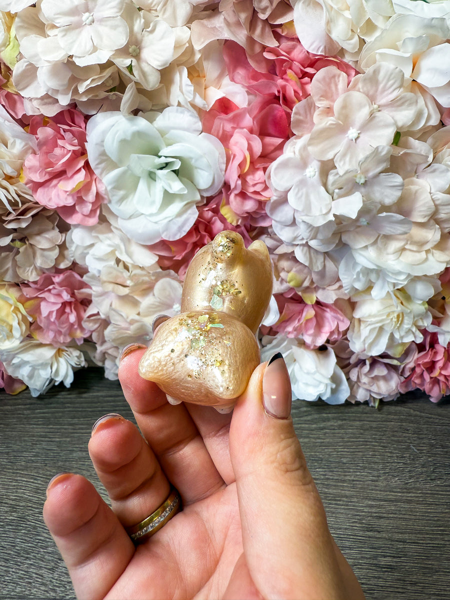 Magnet Katze in verschiedenen Designs