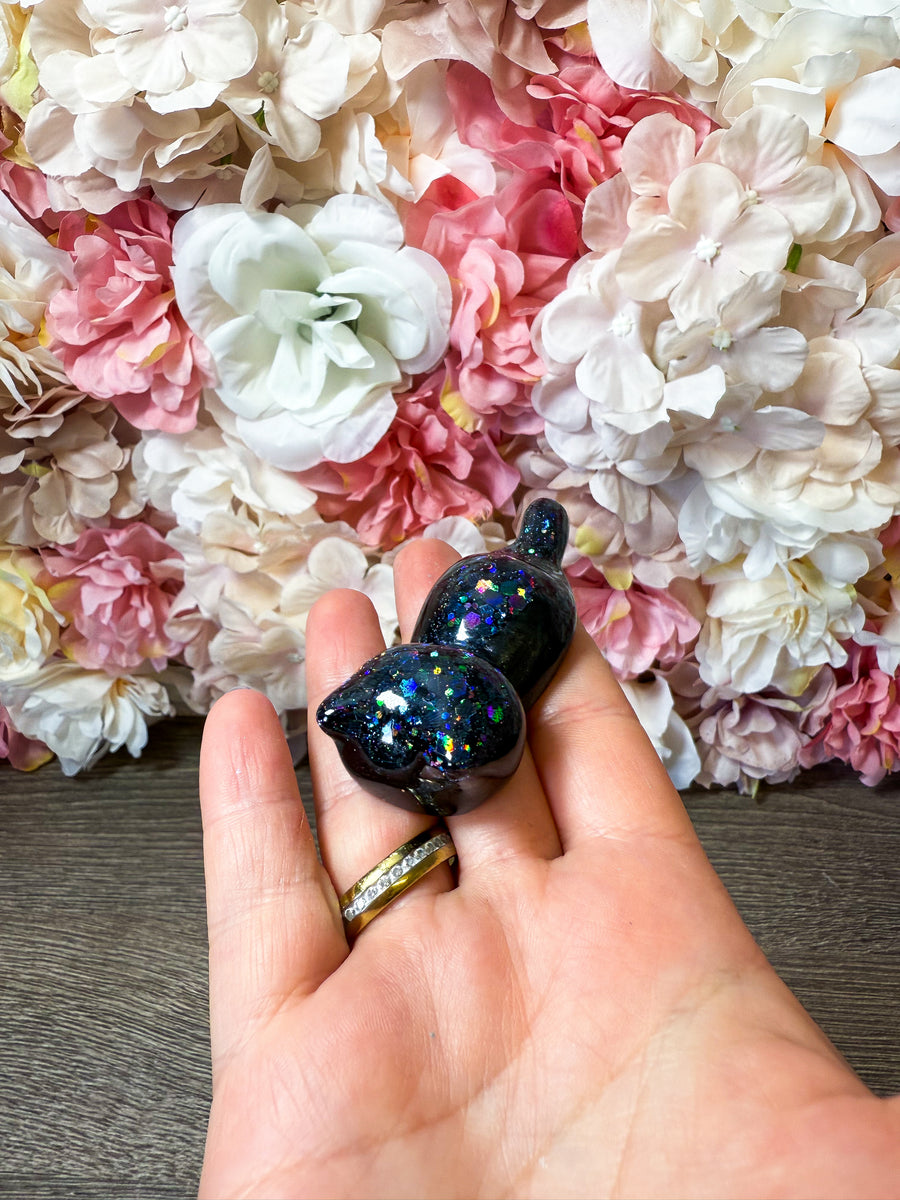 Magnet Katze in verschiedenen Designs