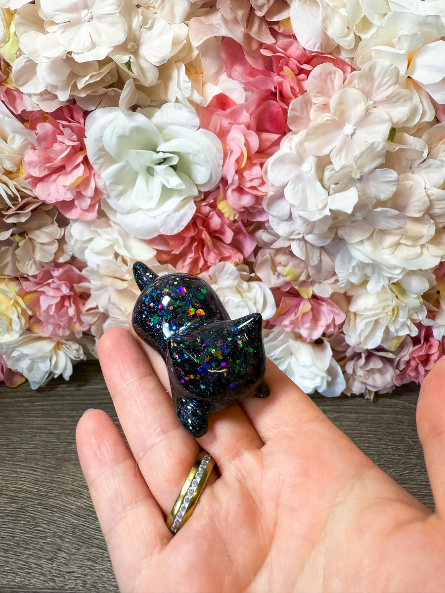 Magnet Katze in verschiedenen Designs