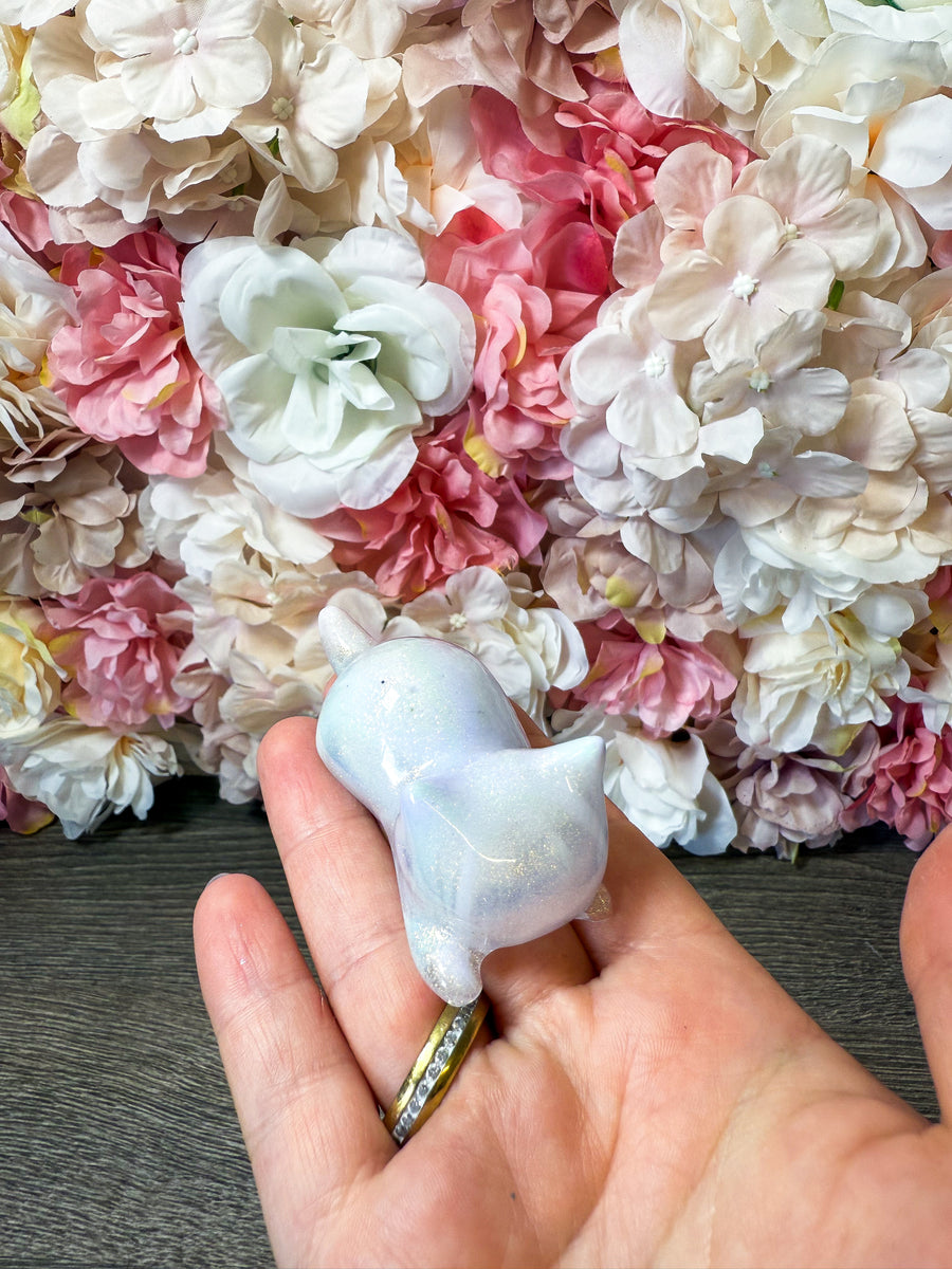 Magnet Katze in verschiedenen Designs