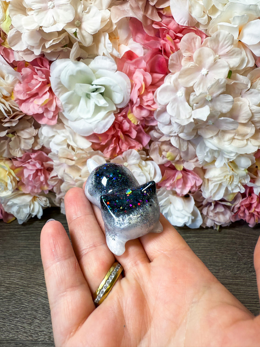 Magnet Katze in verschiedenen Designs