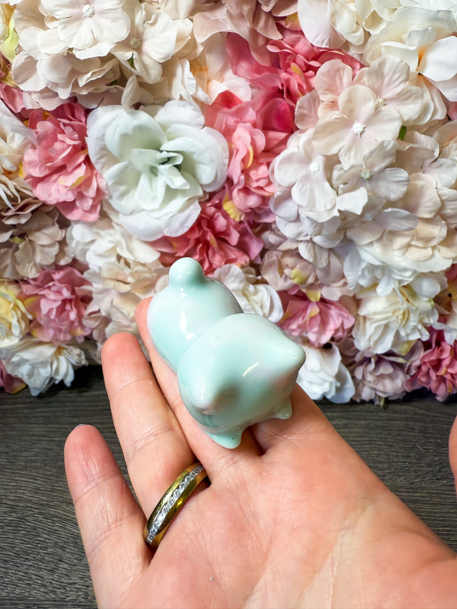 Magnet Katze in verschiedenen Designs