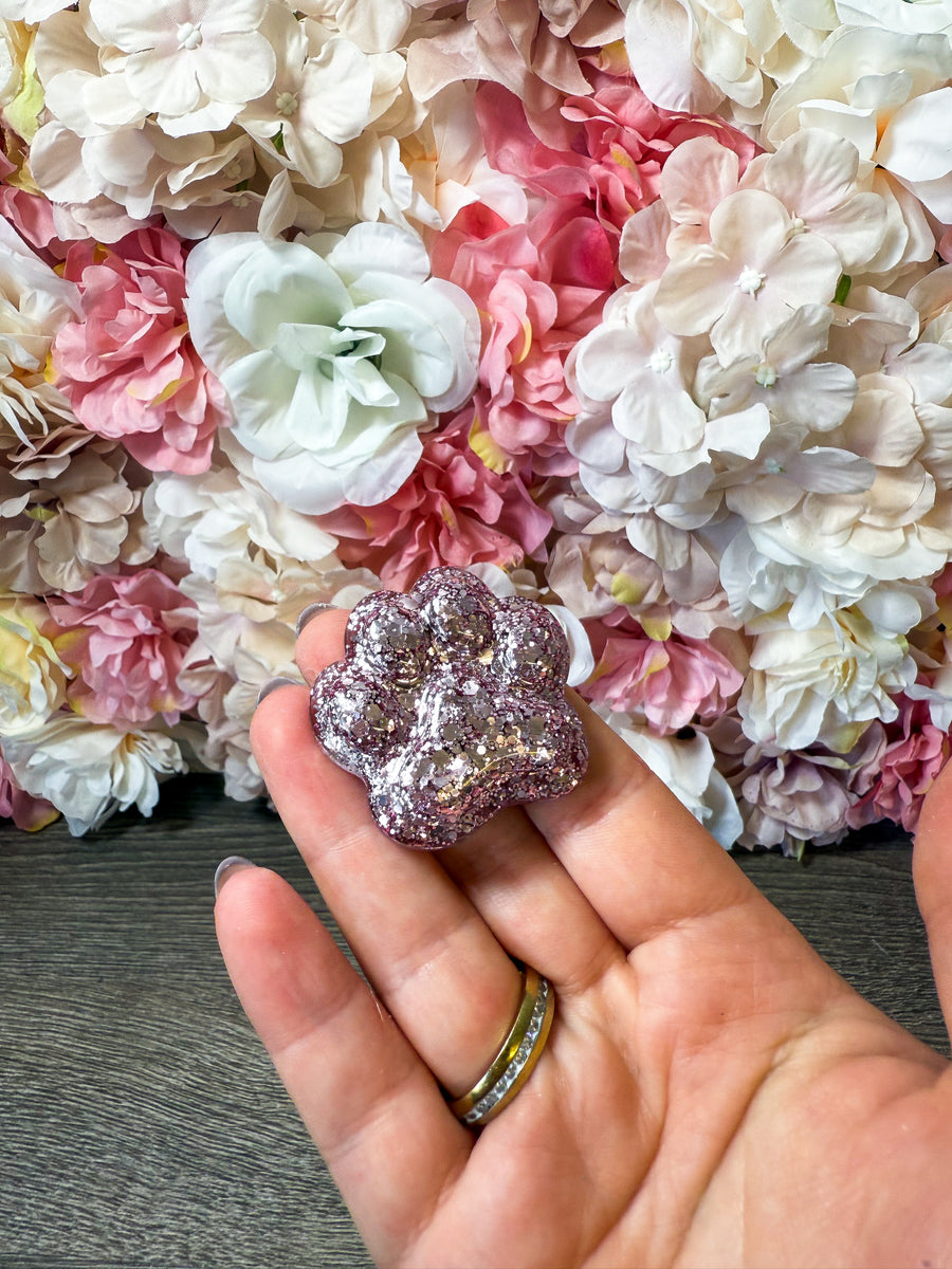 Magnet Pfote in verschiedenen Designs