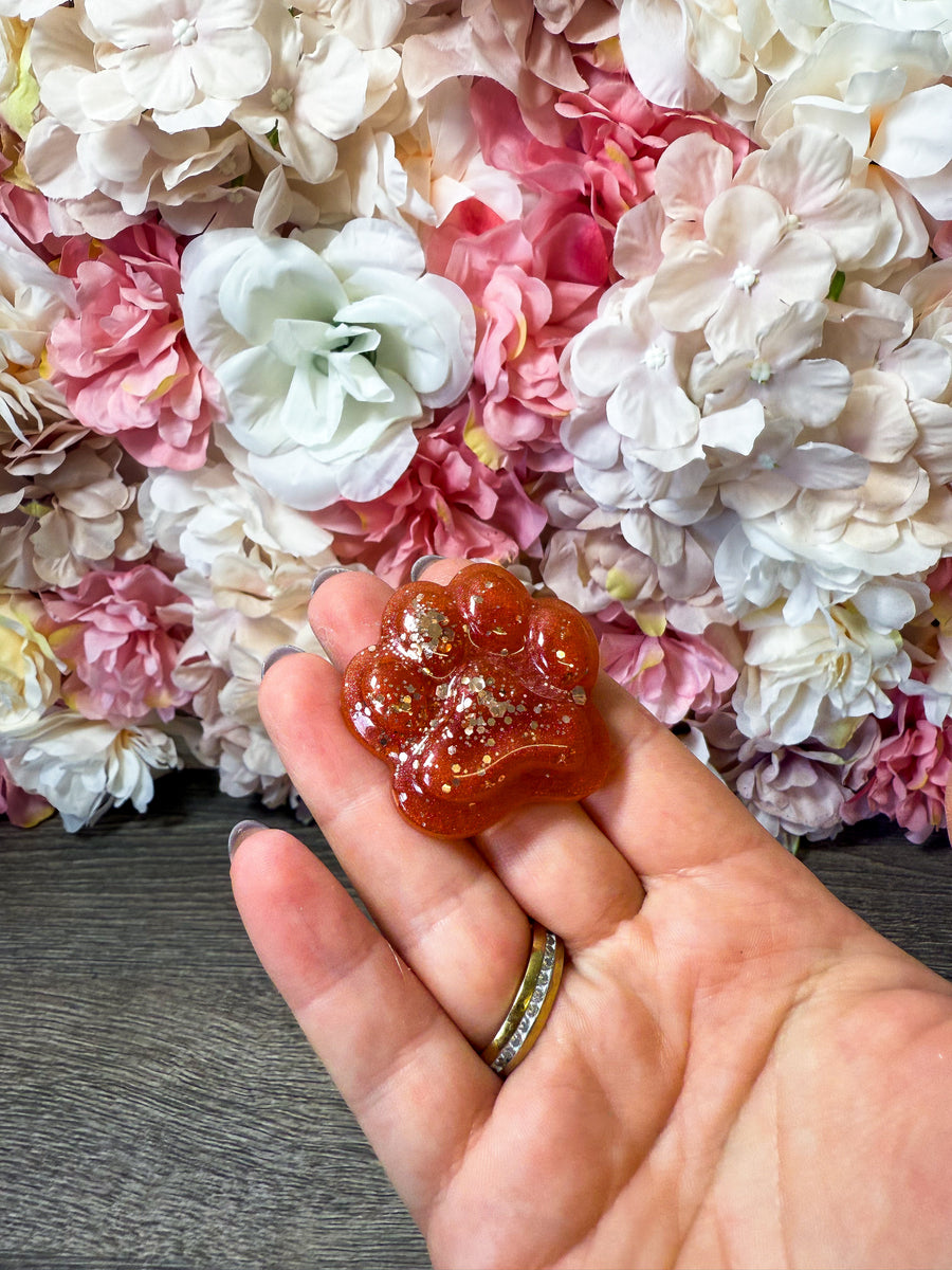 Magnet Pfote in verschiedenen Designs